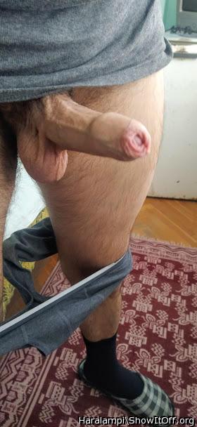 Adult image from Haralampi