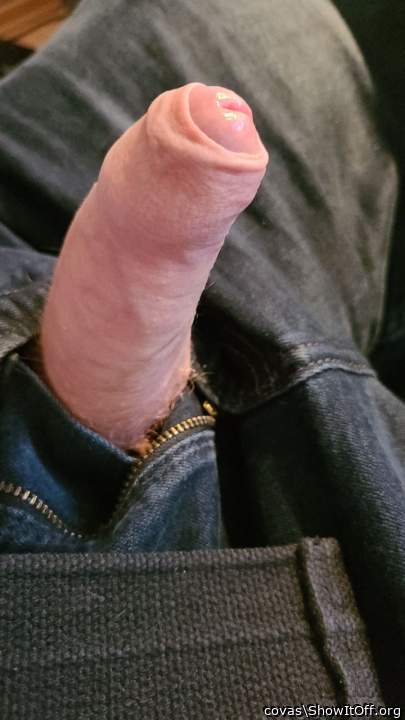 Adult image from covas