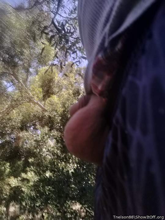 Adult image from Tnelson88