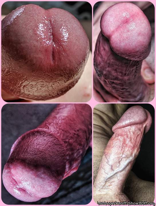 Penis Portraits &#129325;