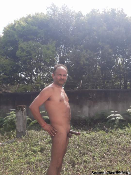 Adult image from Animesh