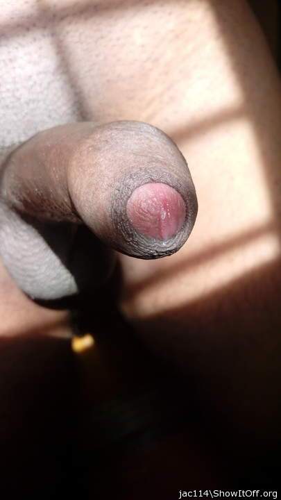 Adult image from jac114
