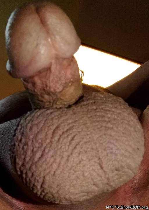 Adult image from M*C*S