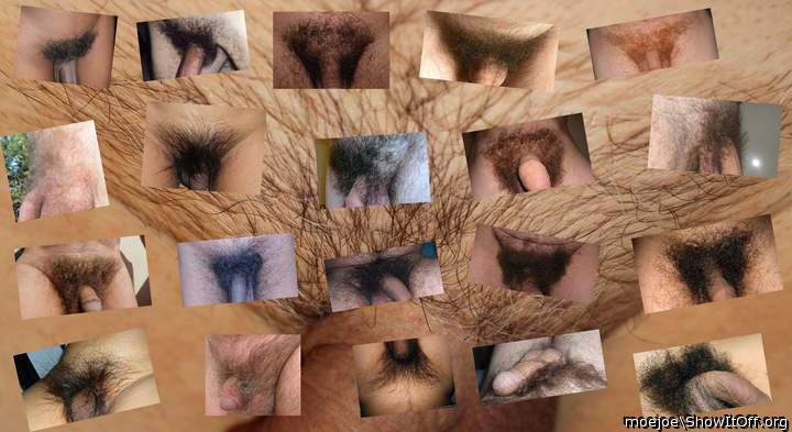 A tribute to pubes....the full natural bush....