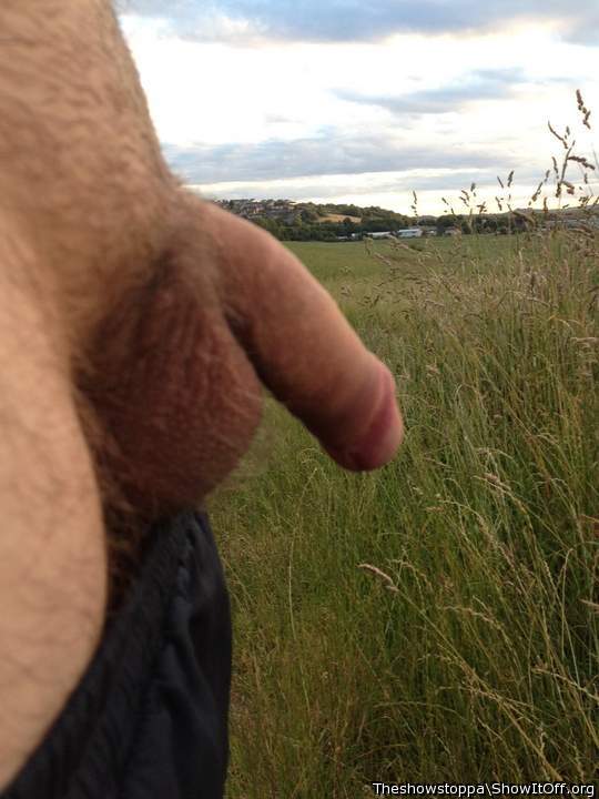 a request
