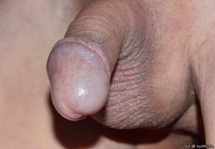 Adult image from ryo