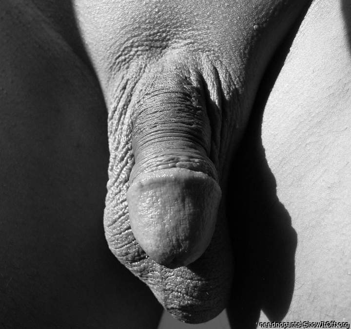 Adult image from neednopants