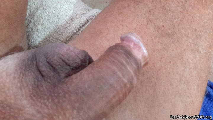 Adult image from Bertie