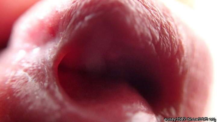 Adult image from eusay1587