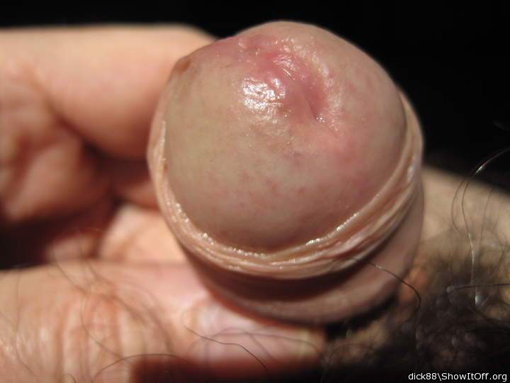 Adult image from Dick88