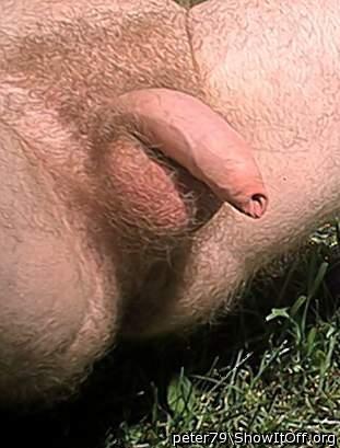 Adult image from peter79