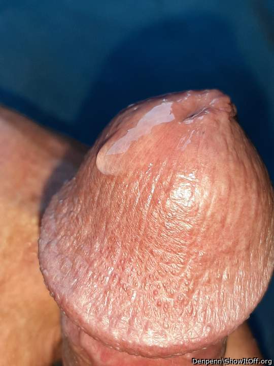 Adult image from Denpenn