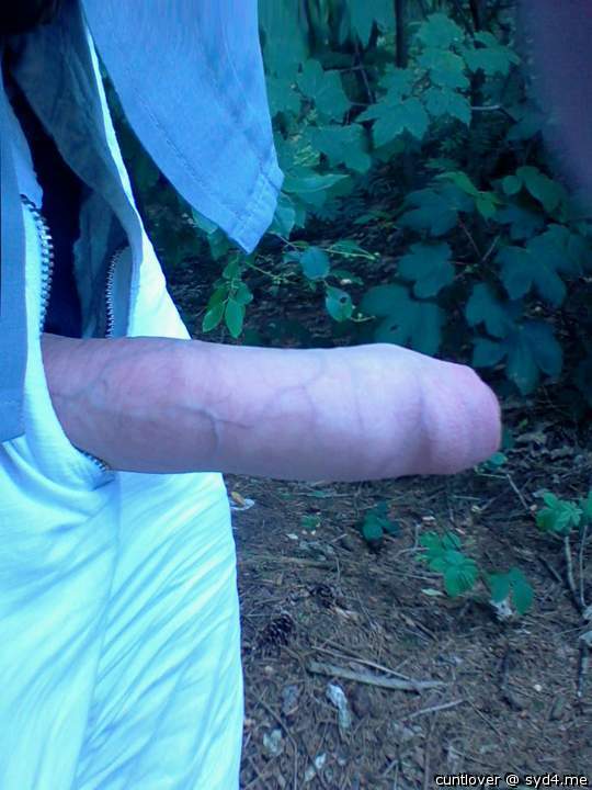 Adult image from cuntlover