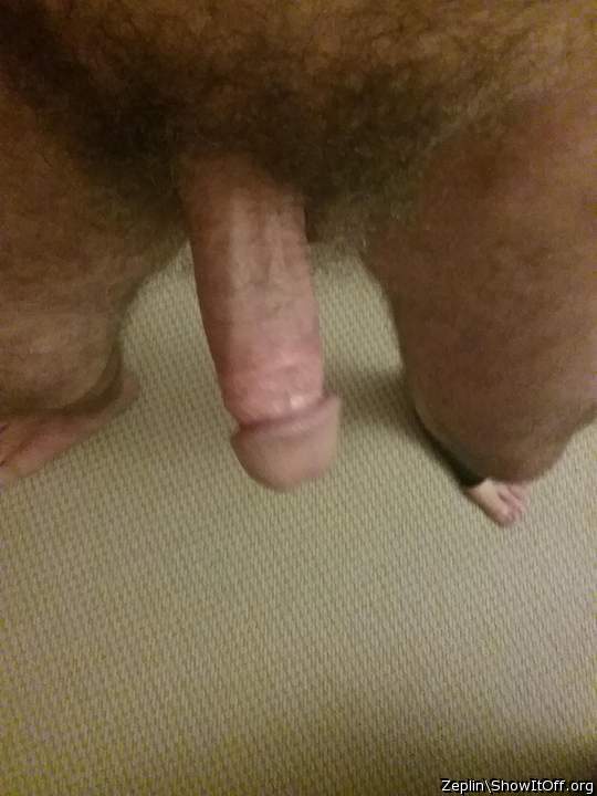 Adult image from Zeplin