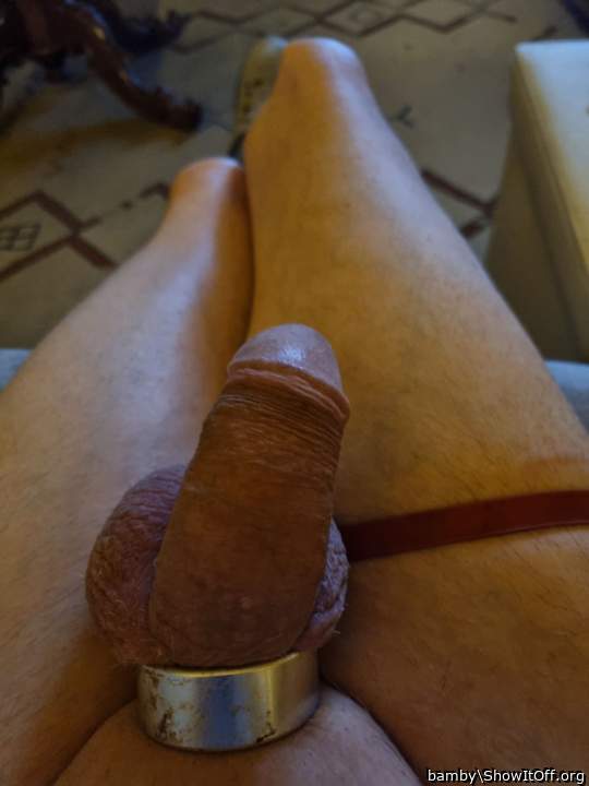 penis