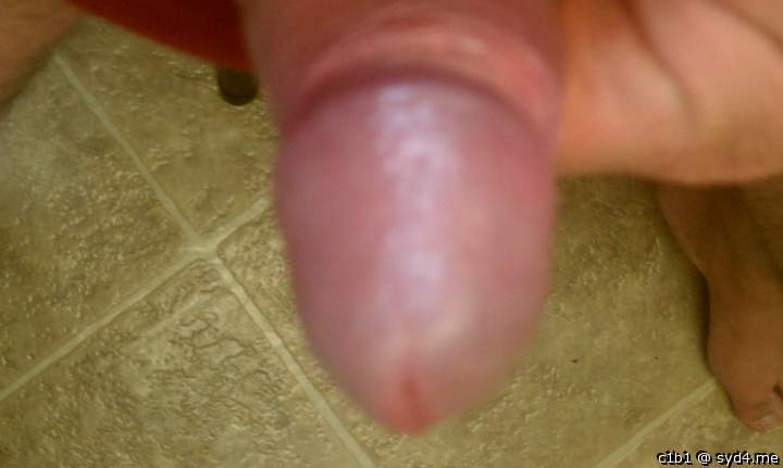 Adult image from c1b1