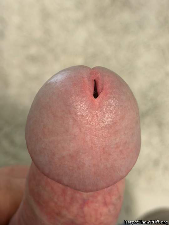 Adult image from Harpo