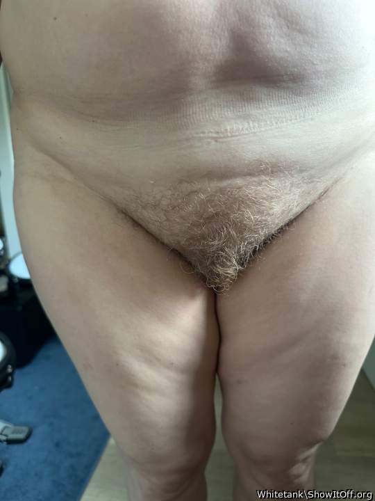 Frontbush