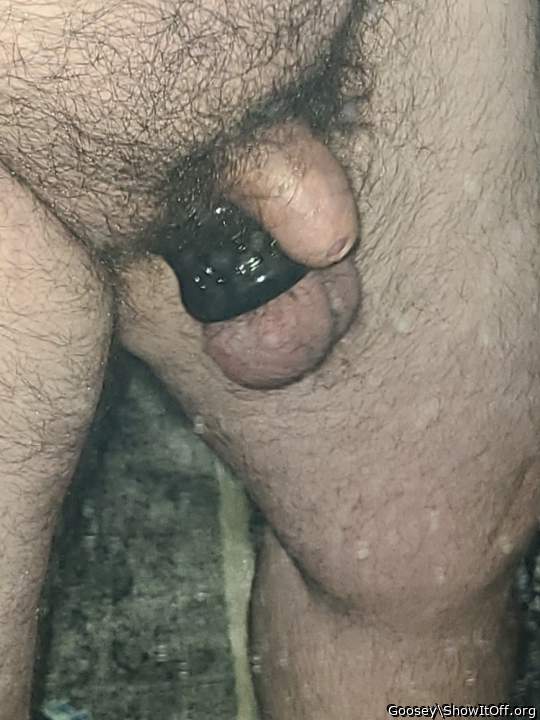 Adult image from Goosey