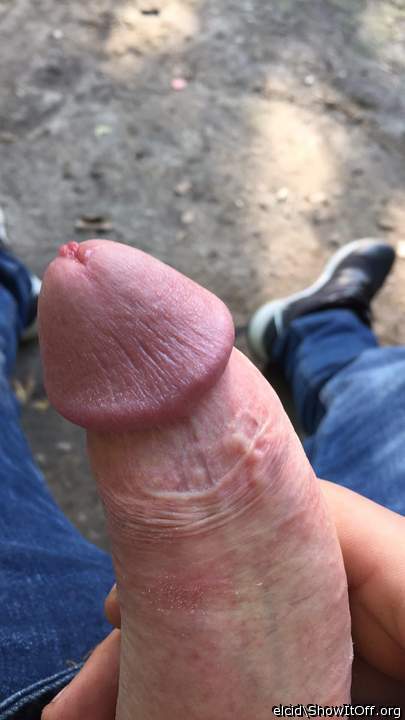 Adult image from elcid