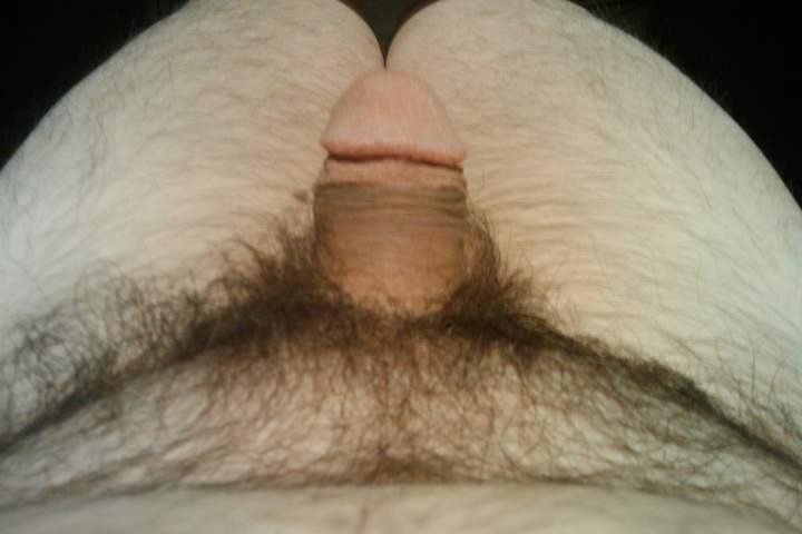 Adult image from cutard