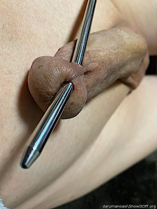 Adult image from darumanoasi