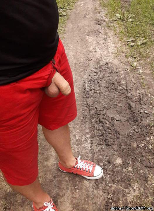 Adult image from adare1