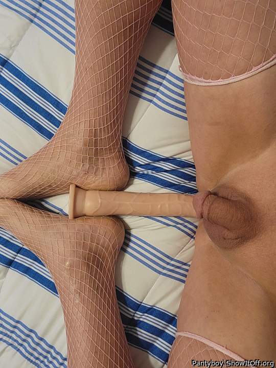 Adult image from Pantyboy