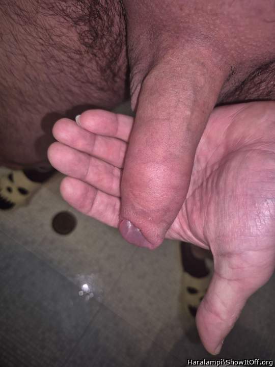 Adult image from Haralampi