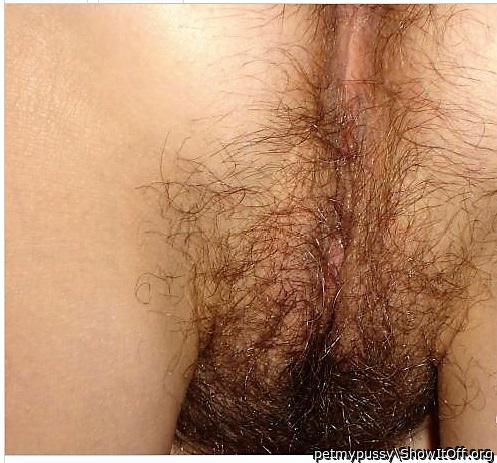 Rear POV