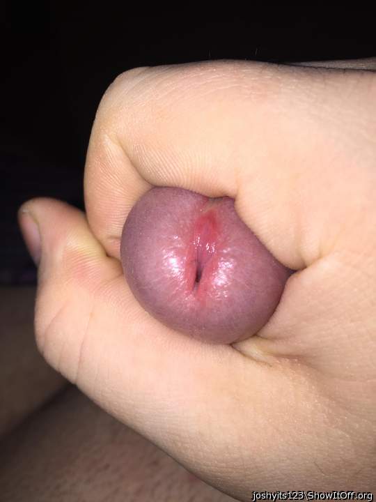 Urethra