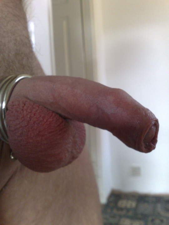 Adult image from X5TANNED