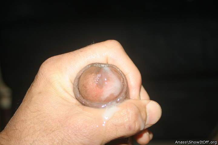 Adult image from Anass