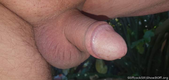 Adult image from Stiffcock59