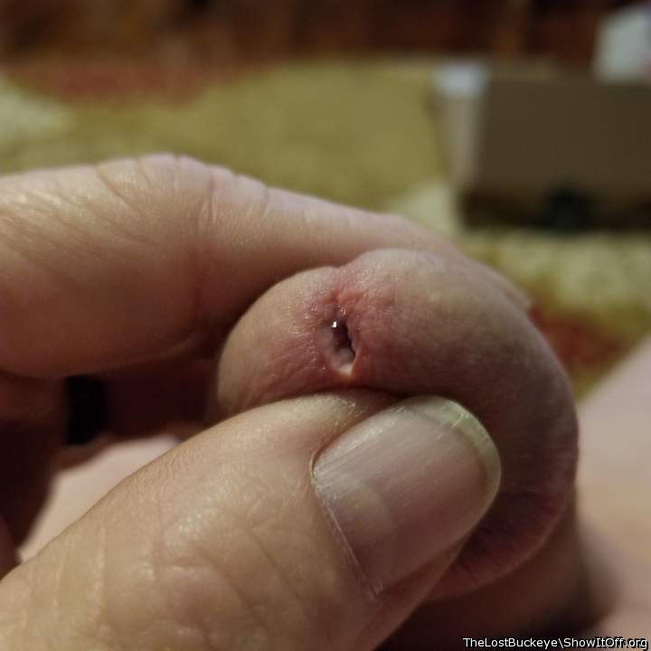 Adult image from TheLostBuckeye