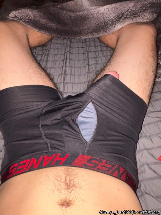 Adult image from Always_Hard69