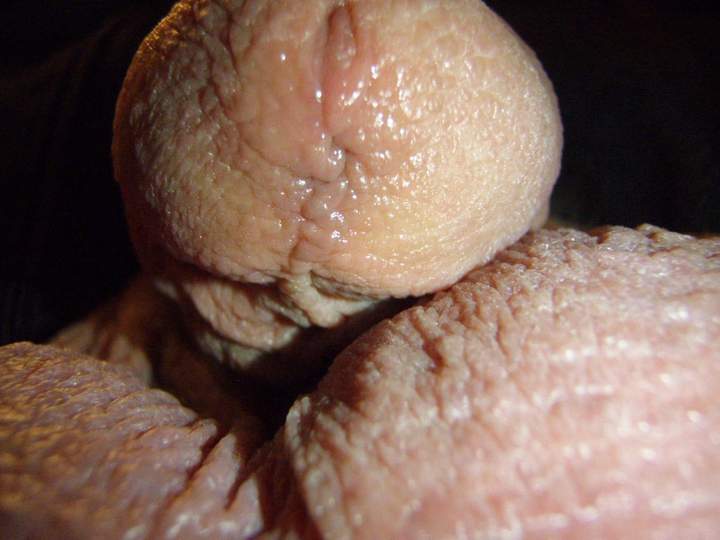 Adult image from lilsoftee