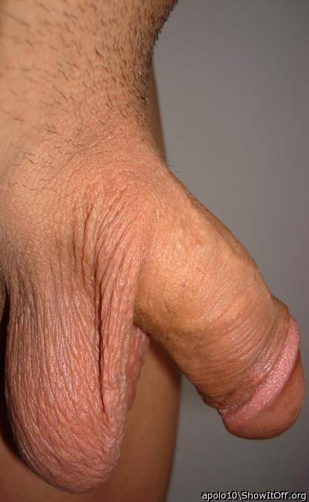 Adult image from apolo10