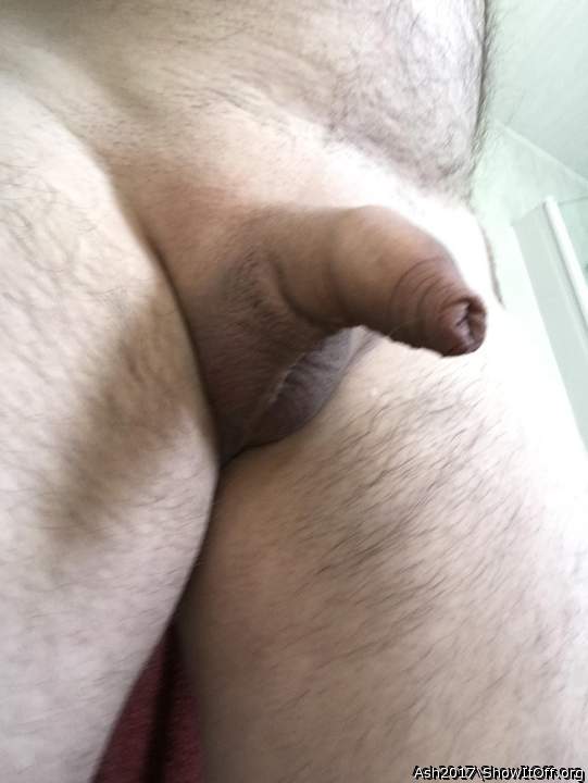 Adult image from Ash2017
