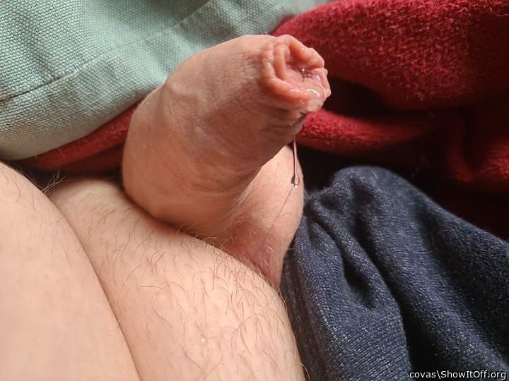 gern w�rde ich die Vorhaut sauber saugen 