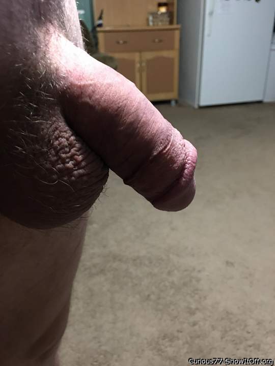 Adult image from Curious77