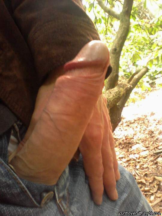 Adult image from cuntlover