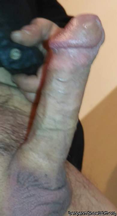 Adult image from Denpenn