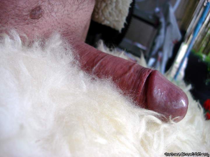 Adult image from dischwa