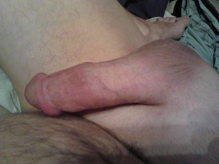 Adult image from fish4free