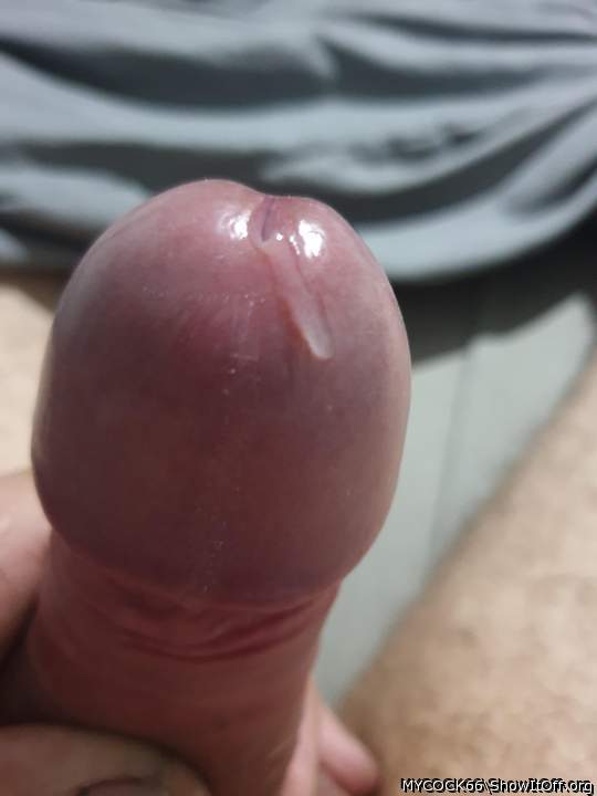 Adult image from MYCOCK66