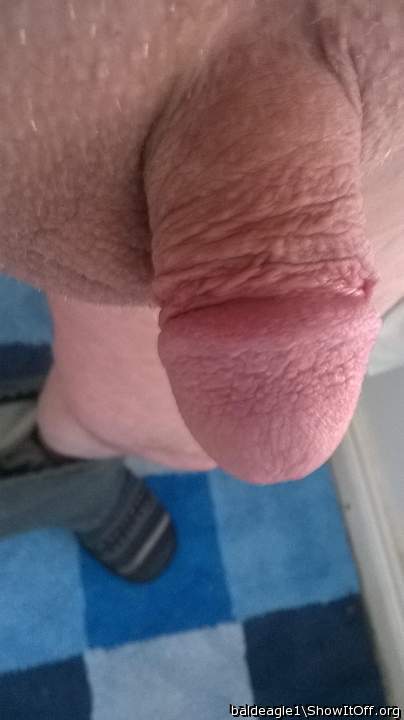 A very handsome penis