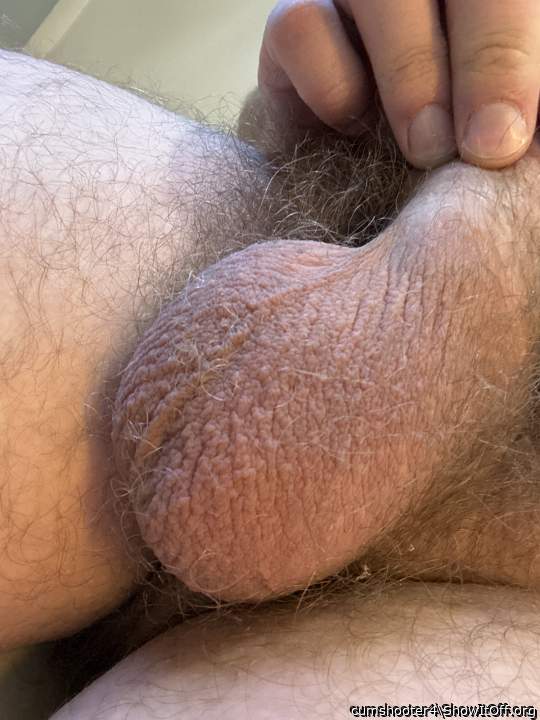 Adult image from cumshooter4