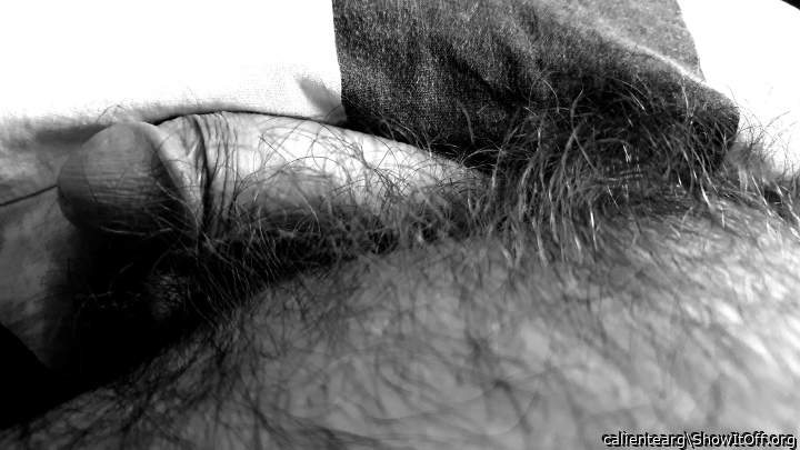 Adult image from calientearg