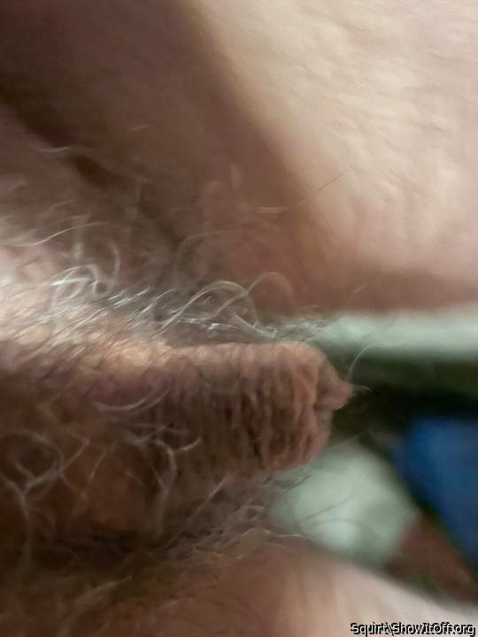 Adult image from Squirt
